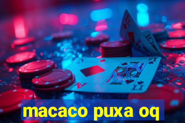macaco puxa oq